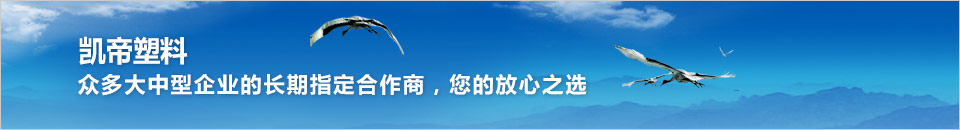 凯帝气泡膜